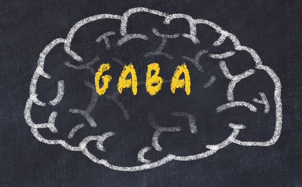 Soffio del cervello umano sulla lavagna con iscrizione GABA
 - Foto, immagini