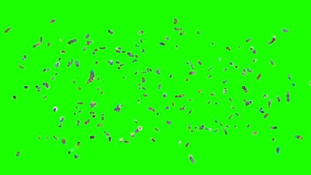 Вирус бактерий или стволовые клетки движущейся анимации 3D рендеринг
 - Кадры, видео