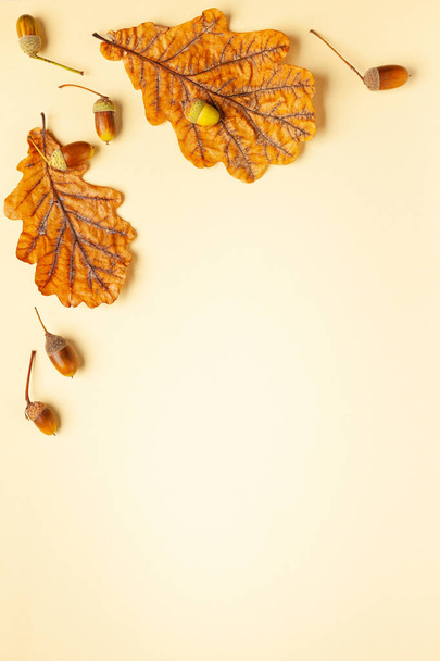 Autumn composition with autumn dried leaves of oak tree and acor - Fotografie, Obrázek