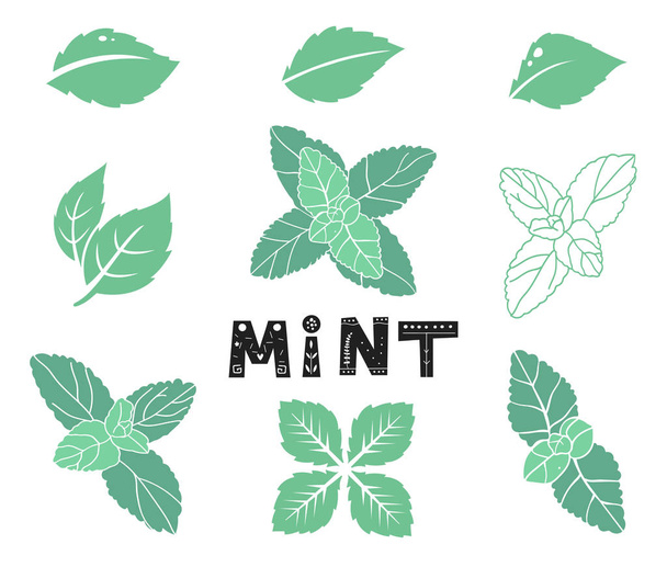 Blue mint leafs. Icons and silhouettes set. Leaves and branches. Vector illustration isolated on a white background. - Vector, Image