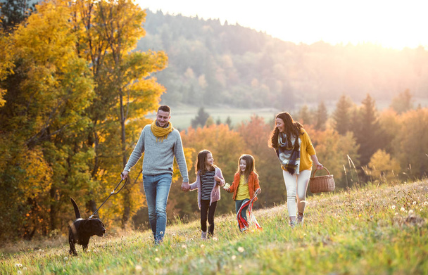 Uma família jovem com duas crianças pequenas e um cão em um passeio na natureza de outono
. - Foto, Imagem