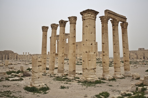 Руины древней Пальмиры
 - Фото, изображение