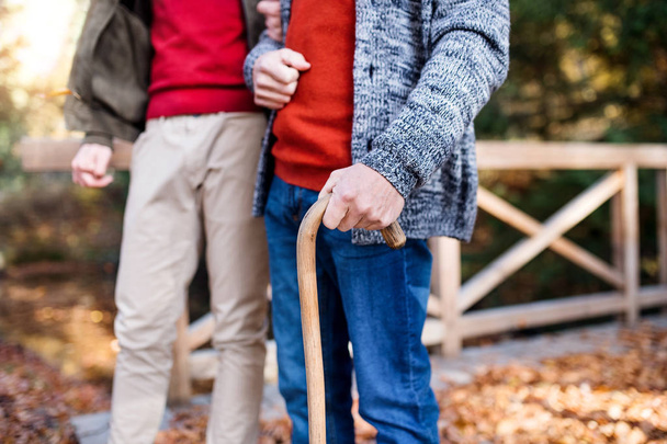 Senior father with walking stick and his son on walk in nature, midsection. - Photo, Image