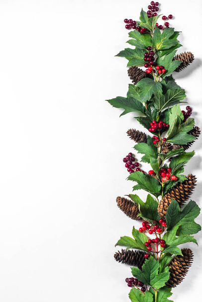 New Year and Christmas decorative ornament border, branch with r - Fotografie, Obrázek