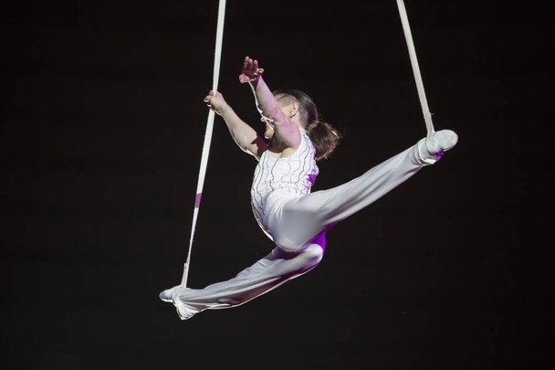 Belarus, Gomil, February 16, 2019. State Circus. Program Bravo Bravissimo. Aerial acrobat performs a circus trick. Gymnast under the circus dome - Foto, Imagem