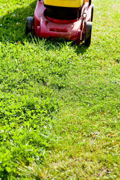 lawn mower mows green lawn - Photo, Image