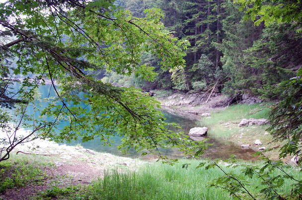 Пейзаж Льодовикове Чорне озеро та гори в національному парку Дурміор в Чорногорії. - Фото, зображення