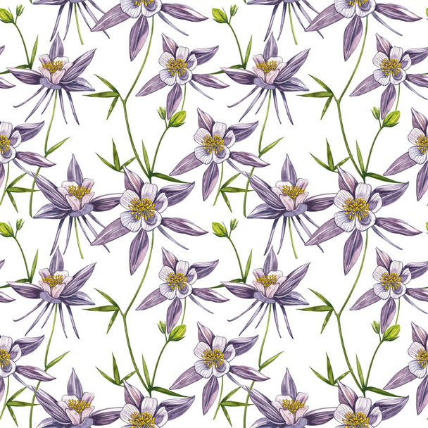 Double Columbine flowers. Seamless pattern. Collection of hand drawn flowers and plants. Watercolor set of flowers and leaves, hand drawn floral illustration isolated on a white background. Botanical - Foto, imagen