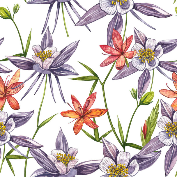 Double Columbine flowers. Seamless pattern. Collection of hand drawn flowers and plants. Watercolor set of flowers and leaves, hand drawn floral illustration isolated on a white background. Botanical - Zdjęcie, obraz