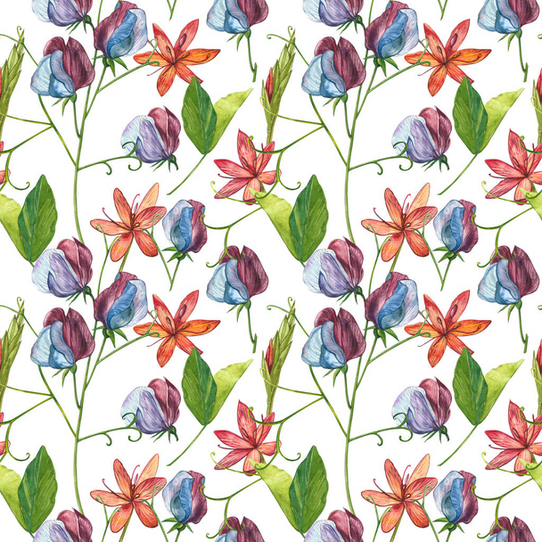 Seamless patterns. Watercolor set of Sweet Peas flowers and leaves, hand drawn floral illustration isolated on a white background. Collection garden and wild herb, flowers, branches. Botanical art. - Foto, afbeelding
