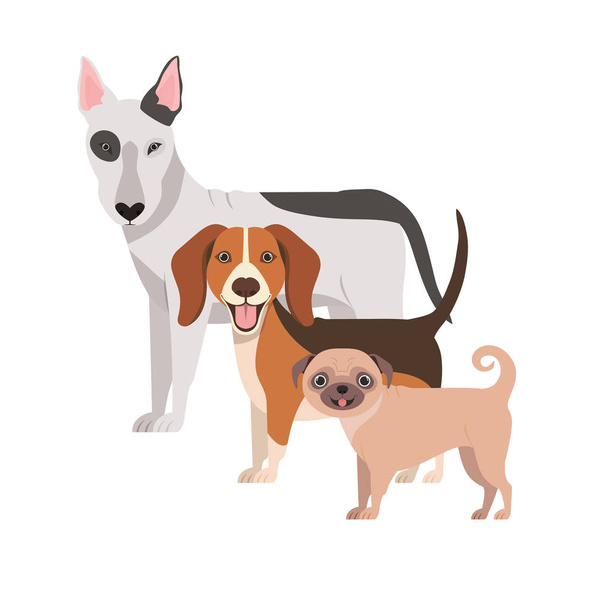 Ensemble de chiens adorables sur fond blanc
 - Vecteur, image