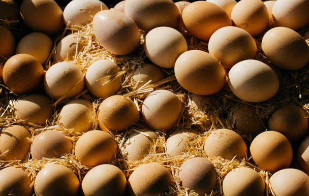 Ekologiczne gospodarstwo świeżych jaj na rynku - Zdjęcie, obraz