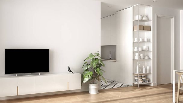Sala de estar minimalista branca moderna com pequena cozinha, piso em parquet, armário de tv, planta em vaso. azulejos coloridos escandinavos e decorações, arquitetura ideia de conceito de design de interiores
 - Foto, Imagem