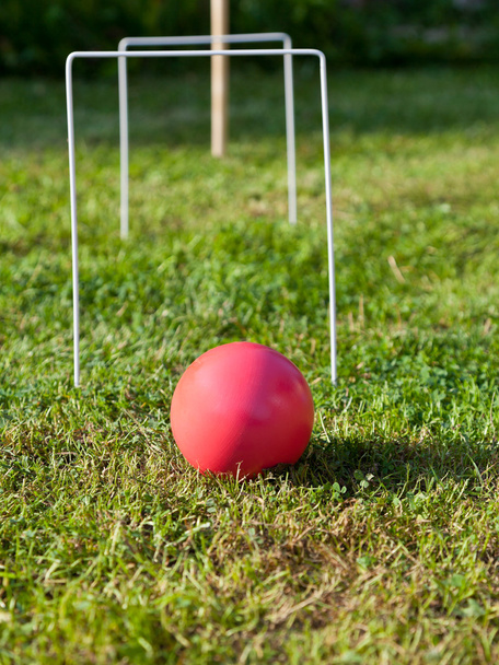 yeşil çim üzerinde kriket oyunu - Fotoğraf, Görsel