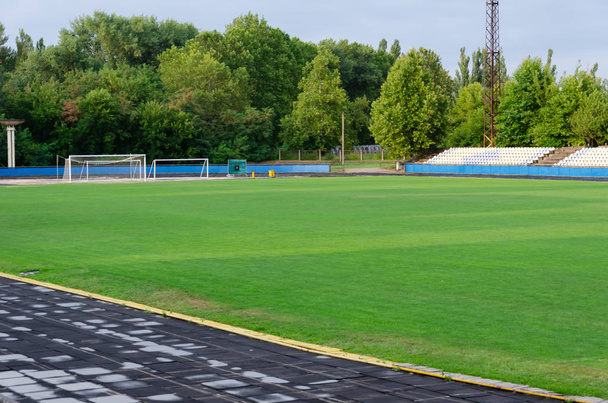 Green grass on the football field. Soccer stadium. - Zdjęcie, obraz
