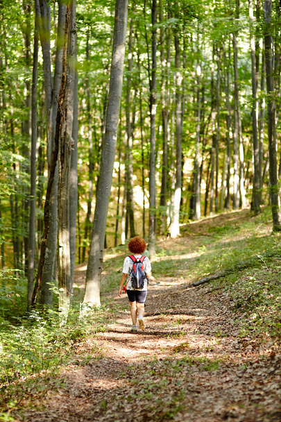 Woman with backpack in the forest - Photo, image