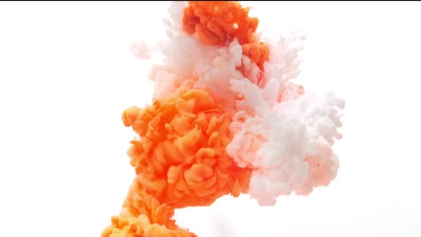 Oranje en witte wolk van inkt geïsoleerd op wit - Video