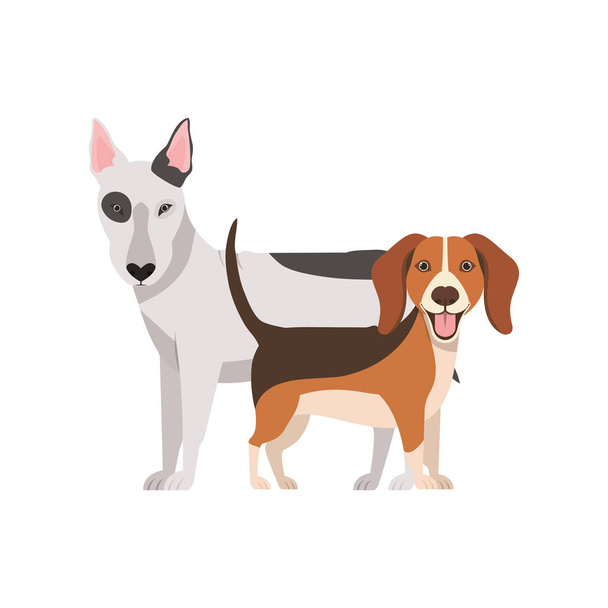 милі і чарівні собаки на білому тлі
 - Вектор, зображення