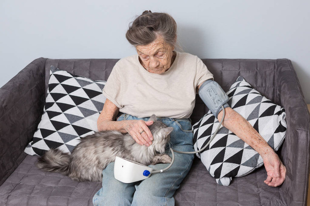 The topic is very old person and health problems. A senior Caucasian woman, 90 years old, with wrinkles and gray hair, sits home on sofa with pet cat and uses tonometer. High blood pressure headache - Photo, Image
