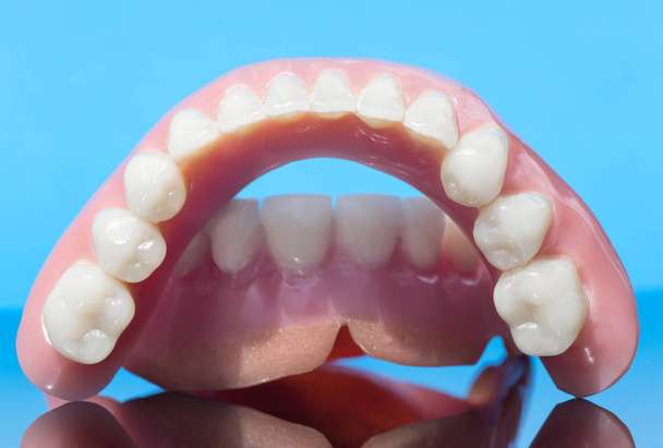 Dental teeth prosthesis gums on blue background  - Foto, Bild