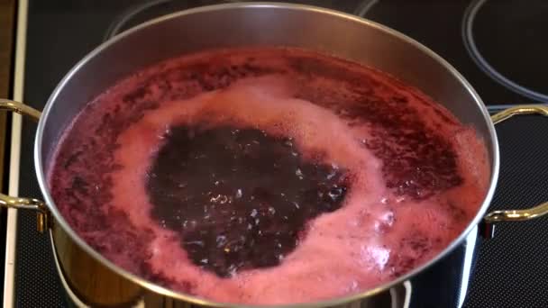 Σπιτικό χυμό από άγρια βατόμουρα-μαγείρεμα και αφαίρεση αφρού - Πλάνα, βίντεο