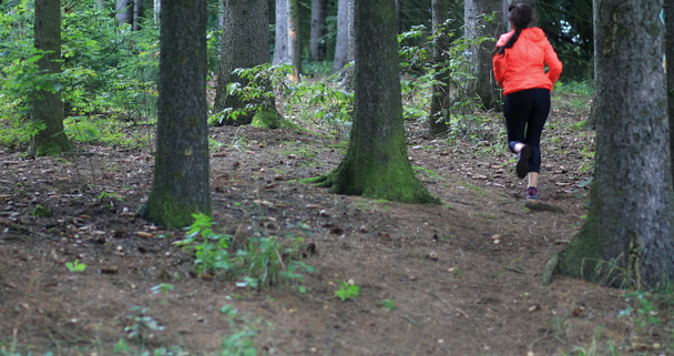 Mujer joven durante su entrenamiento en el bosque. Correr por la salud. Chica profesa estilo de vida de salud. DOF poco profundo
. - Metraje, vídeo