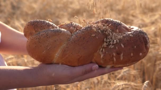 grain is poured on a delicious loaf with poppy seeds. Slow motion. wheat grains fall on bread in hands of a girl, over a field of wheat. tasty loaf of bread on palms. rye bread over the ears of corn - Footage, Video