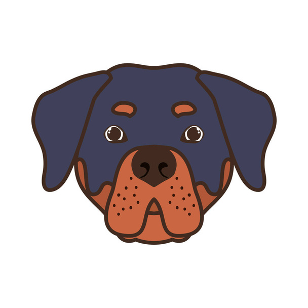 head of cute rottweiler dog on white background - Vector, Image