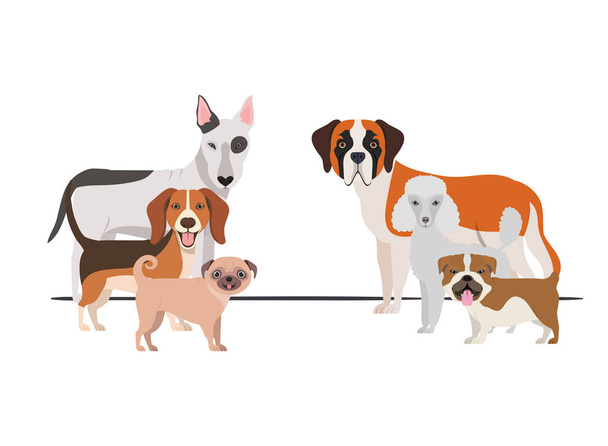 Set di adorabili cani su sfondo bianco
 - Vettoriali, immagini