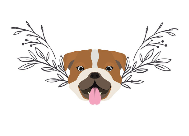 tête de chien Bulldog ingles mignon sur fond blanc
 - Vecteur, image