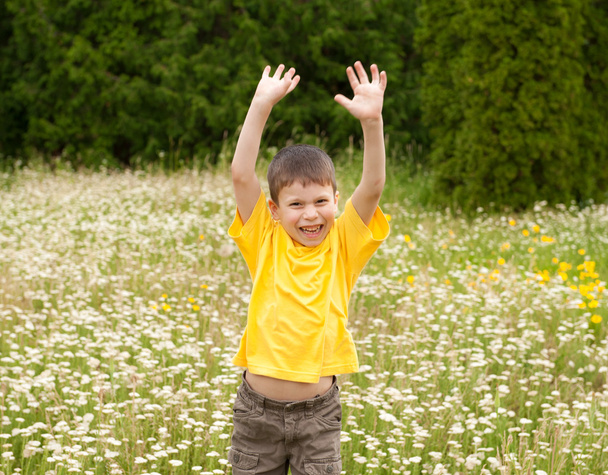 boy jumping on meadow - Foto, Imagen