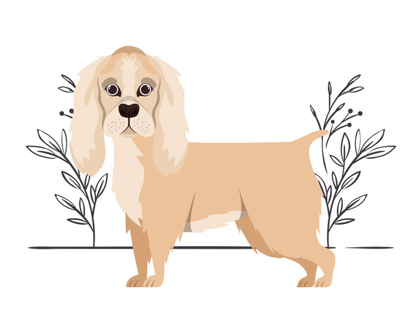 かわいいコッカースパニエルは、白い背景に犬をイングレス - ベクター画像