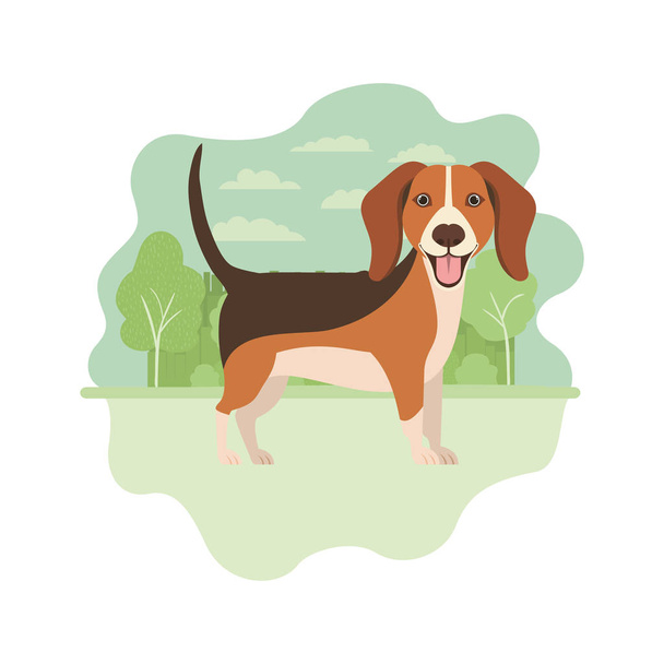 roztomilý beagle psa na bílém pozadí - Vektor, obrázek
