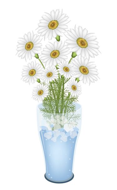 Preciosas flores de margarita blanca en jarrón de cristal
 - Vector, imagen