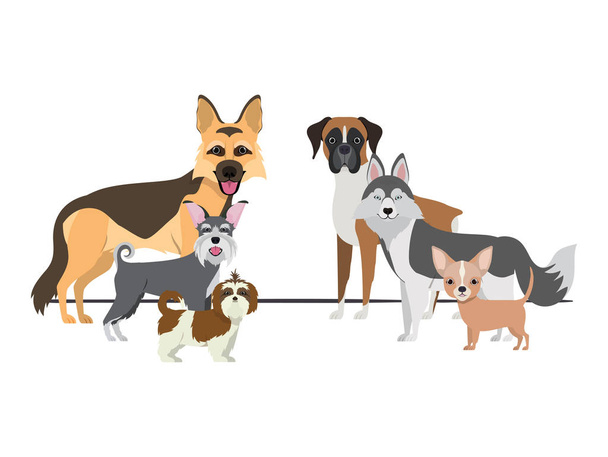 set of adorable dogs on white background - Vector, Image