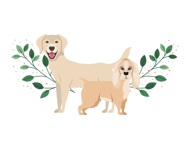 cute and adorable dogs on white background - Vector, Image