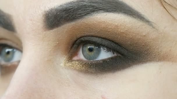 Professional make-up artist makes the makeup smoky eyes of brown shade of a beautiful model with green eyes close up - Footage, Video