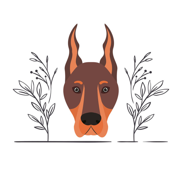 head of cute doberman dog on white background - Vector, Image