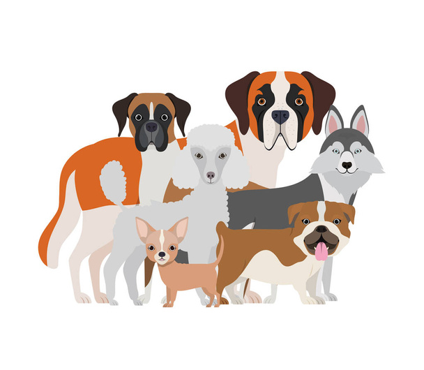 set of adorable dogs on white background - Vector, Image