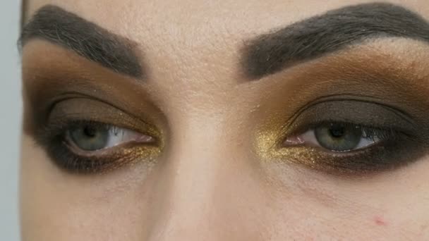 Artista de maquillaje profesional hace que los ojos ahumados maquillaje de tono marrón de una hermosa modelo con ojos verdes de cerca
 - Metraje, vídeo