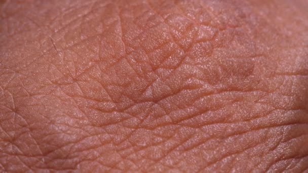 Primer plano de la textura de la piel humana
  - Imágenes, Vídeo