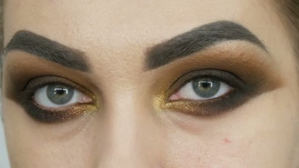 Artista de maquillaje profesional hace que los ojos ahumados maquillaje de tono marrón de una hermosa modelo con ojos verdes de cerca
 - Metraje, vídeo