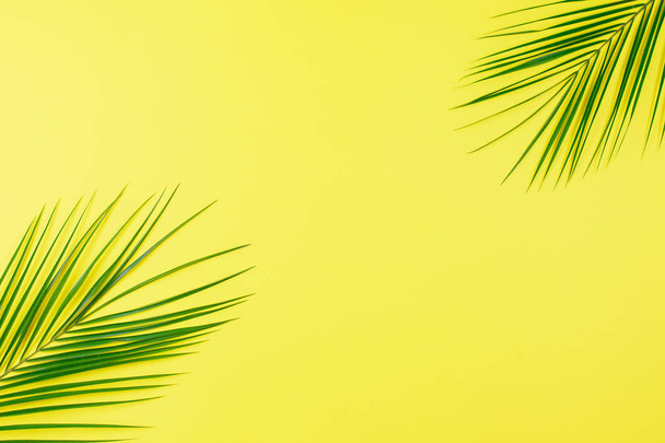 Green Tropical leaves palm tree on yellow background - Photo, image