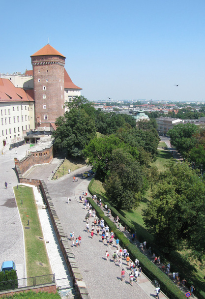 Панорама Вавела в Кракове (Польша)
) - Фото, изображение