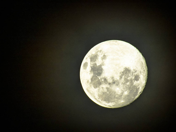 Moon in the middle of its way on the clear sky. - Photo, Image
