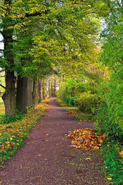 Autumn landscape in Catherine garden, Pushkin, - Foto, Bild