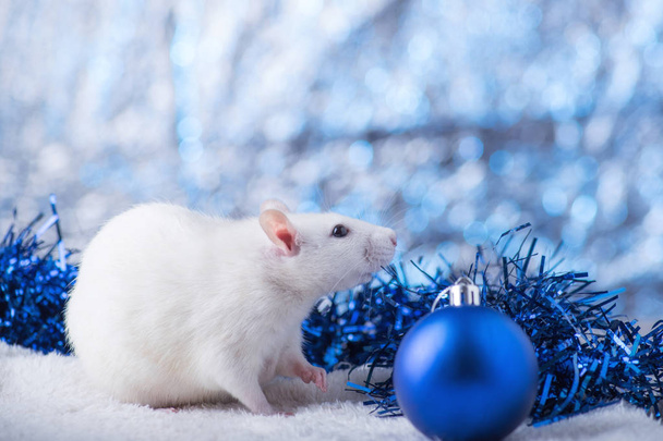 Happy New Year! Symbol of New Year 2020 - white or metal (silver) rat. Cute rat with Christmas decorated - 写真・画像