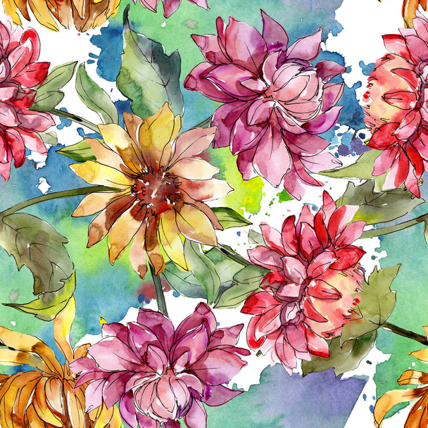 Mishaelmas margarida flores botânicas florais. Conjunto de ilustração de fundo aquarela. Padrão de fundo sem costura
. - Foto, Imagem