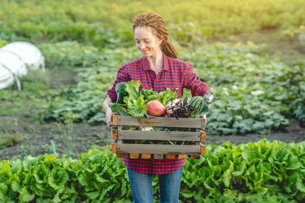 Genç çiftçi kadın tarımcı bahçede bir kutu taze sebze tutuyor. Bir ev çiftliğinde yetişen organik ham ürünler - Fotoğraf, Görsel