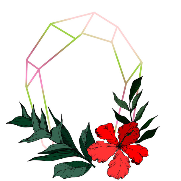 Vektor tropische Blüten und Blätter isoliert. Schwarz-weiß gestochene Tuschekunst. Rahmen Rand Ornament Quadrat. - Vektor, Bild